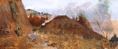 Fossa di carbone nel paesaggio da Niccolo Cannicci