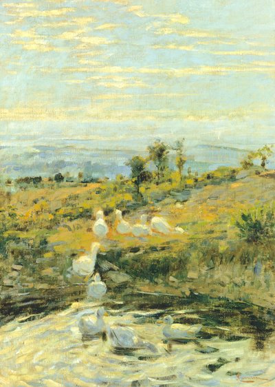 Anatre al mattino, ca 1892 da Niccolo Cannicci
