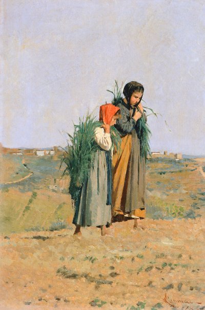 Erbaiole da Niccolo Cannicci