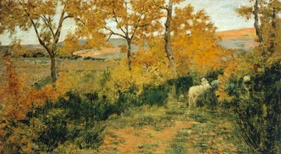 Foresta dorata a Montemiccioli da Niccolo Cannicci