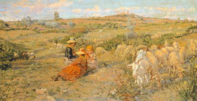 Fiori di montagna da Niccolo Cannicci