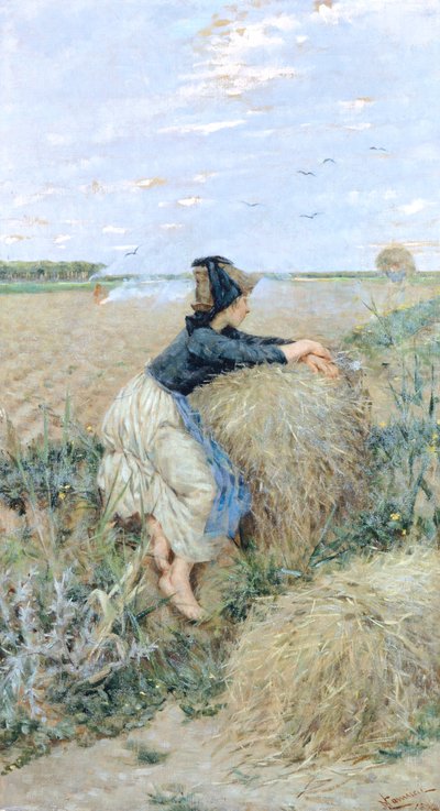 Erba di grano a Tombolo da Niccolo Cannicci