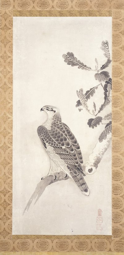 Falco appollaiato su un ramo da Nichokuan Soga
