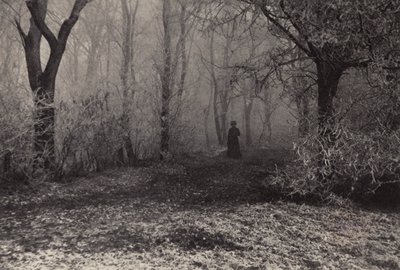 Nella Foresta di Vienna da Nichol Elliot