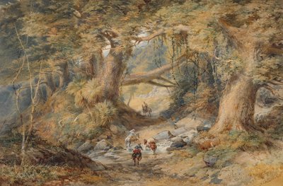 Attraversamento del fiume Teremakau da Nicholas Chevalier