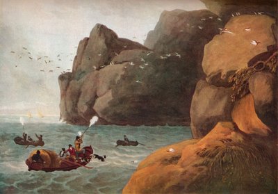 Caccia ai pulcinella di mare, c1806 da Nichols and Merke