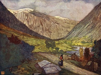 Norvegia: Montagne e fiume a Gjora da Nico Jungman