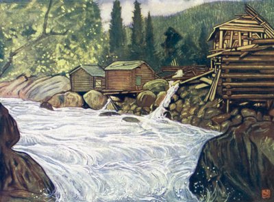 Norvegia: Fiume a Haukeli da Nico Jungman