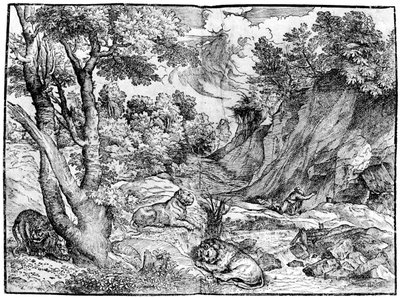 Grande paesaggio con San Girolamo da Nicolò Boldrini