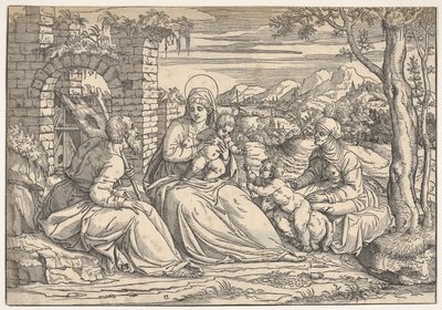 La Sacra Famiglia con i santi Elisabetta e Giovanni da Nicolò Boldrini