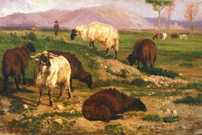 Animali al pascolo da Nicola Palizzi