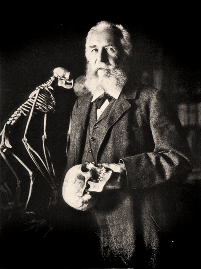 Ritratto di Ernst Haeckel accanto allo scheletro di una scimmia, c.1860 da Nicola Perscheid