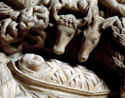 Arte e architettura gotica: la natività (dettaglio) da Nicola Pisano