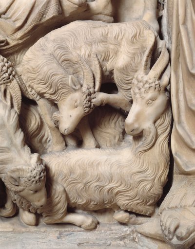 La natività di Cristo (dettaglio) dal pulpito in marmo da Nicola Pisano
