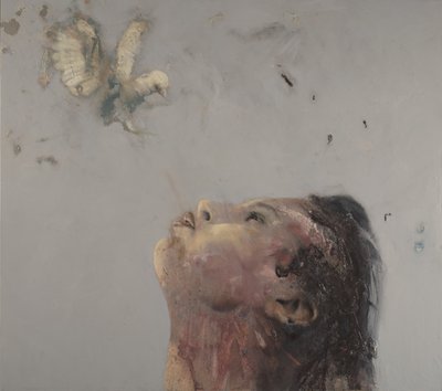 Lezione di volo V da Nicola Pucci