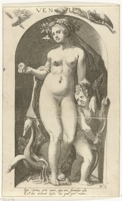 Venere da Nicolaas Braeu