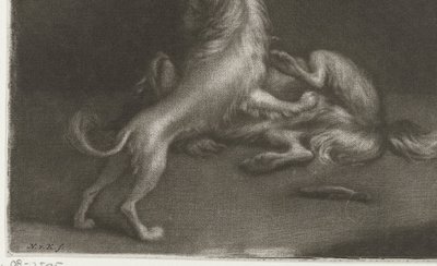 Due cani che giocano da Nicolaas Verkolje