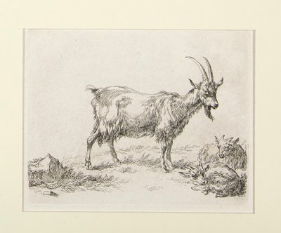 6 incisioni da da Nicolaes Berchem
