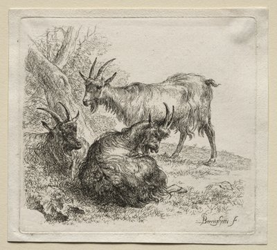 Animalia: Tre capre da Nicolaes Berchem