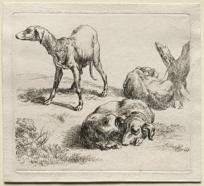 Animalia: Tre Cani da Caccia da Nicolaes Berchem