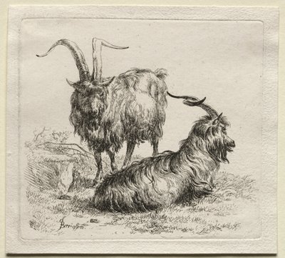 Animalia: Due capre da Nicolaes Berchem