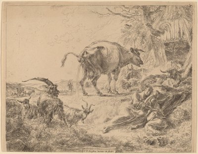 Mucca che urina da Nicolaes Berchem