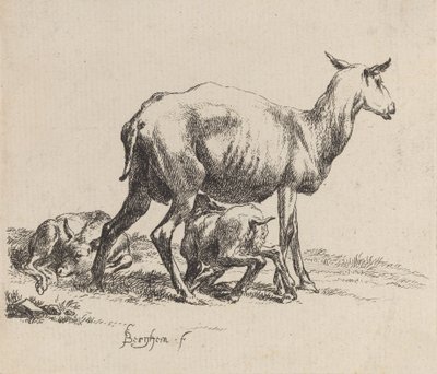 Pecora che allatta il suo agnello da Nicolaes Berchem