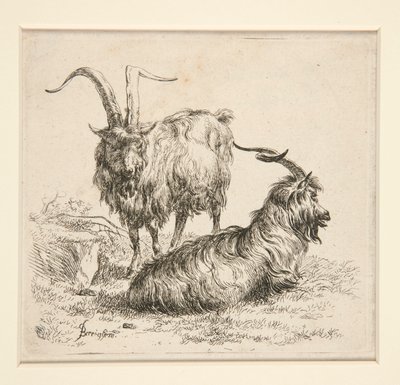 Capre (da da Nicolaes Berchem