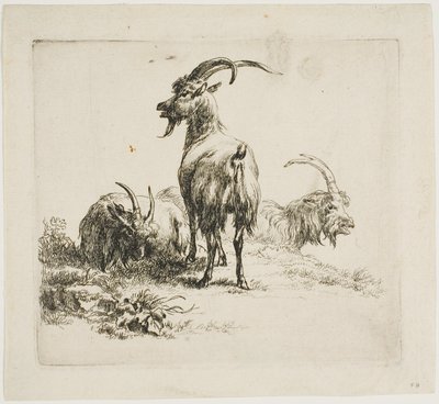 Capre, da Vari Animali da Nicolaes Berchem