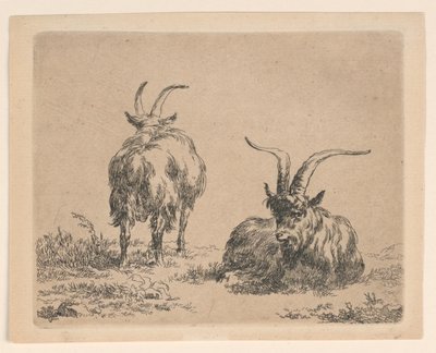 Due capre da Nicolaes Berchem