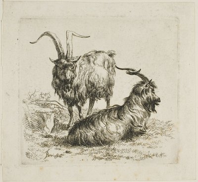Due capre con grandi corna, da Vari animali da Nicolaes Berchem