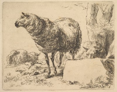dalla serie di pecore da Nicolaes Berchem