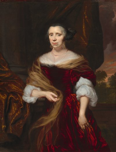 Ritratto di una Signora da Nicolaes Maes