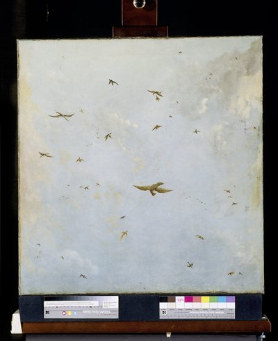 Soffitto di casa delle bambole dipinto con cielo nuvoloso e uccelli da Nicolaes Piemont (attributed to)