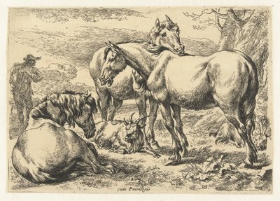 Tre cavalli (titolo della serie: Dieren) da Nicolaes Pietersz Berchem