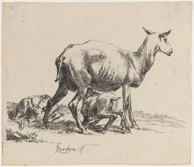 Pecora che allatta il suo agnello da Nicolaes Pietersz Berchem
