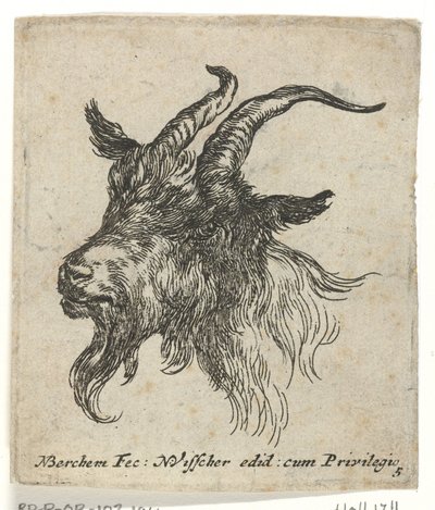 Testa di una capra da Nicolaes Pietersz Berchem