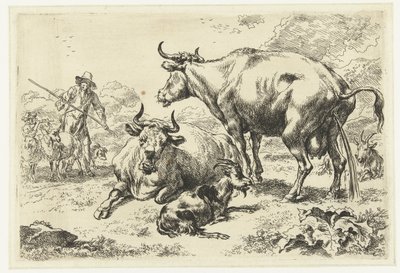 Mucca sdraiata e una mucca che urina da Nicolaes Pietersz Berchem