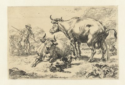 Mucca sdraiata e una che urina da Nicolaes Pietersz Berchem