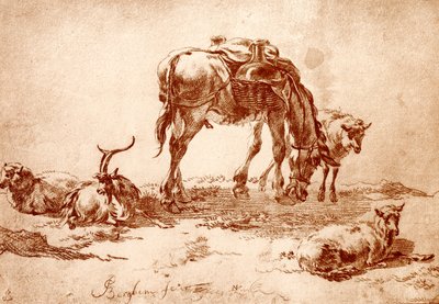 Pascolo con asino, capra e pecore da Nicolaes Pietersz. Berchem