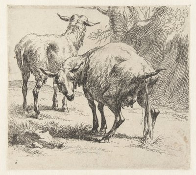 Pecora che urina e una pecora da Nicolaes Pietersz Berchem