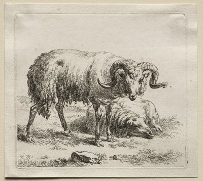 Ariete e pecora da Nicolaes Pietersz. Berchem