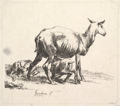 Pecora con agnello che allatta da Nicolaes Pietersz. Berchem