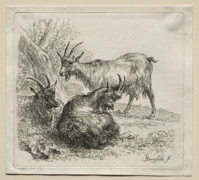 Tre capre da Nicolaes Pietersz. Berchem