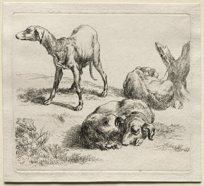 Tre cani da caccia da Nicolaes Pietersz. Berchem