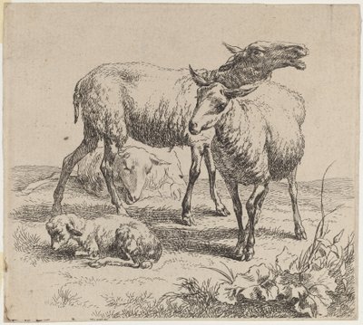 Tre pecore e un agnello da Nicolaes Pietersz Berchem