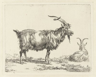 Due capre da Nicolaes Pietersz Berchem