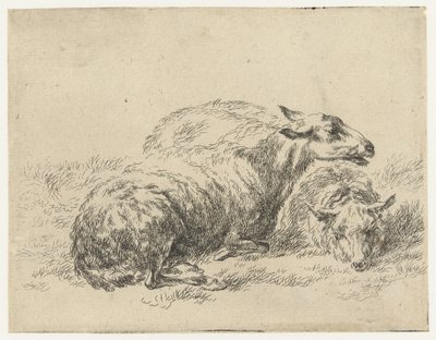 Due pecore sdraiate da Nicolaes Pietersz Berchem