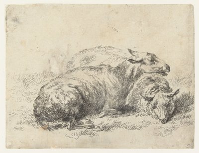 Due pecore sdraiate (serie: Animalia ad vivum delineata et aqua forti aeri impressa Studio et Arte Nicolai Berchemi) da Nicolaes Pietersz Berchem