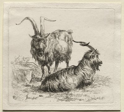 Due capre da Nicolaes Pietersz. Berchem